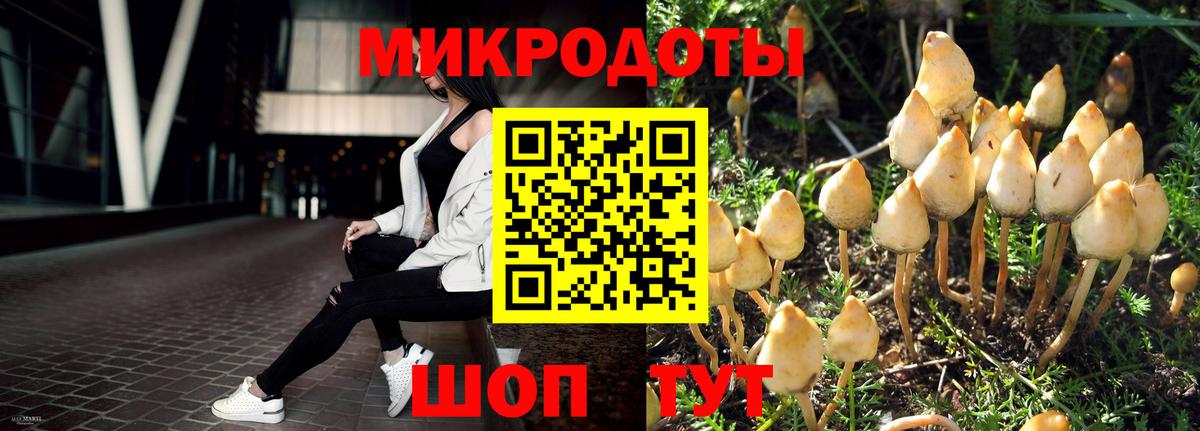 Псилоцибиновые грибы Magic Shrooms Зима
