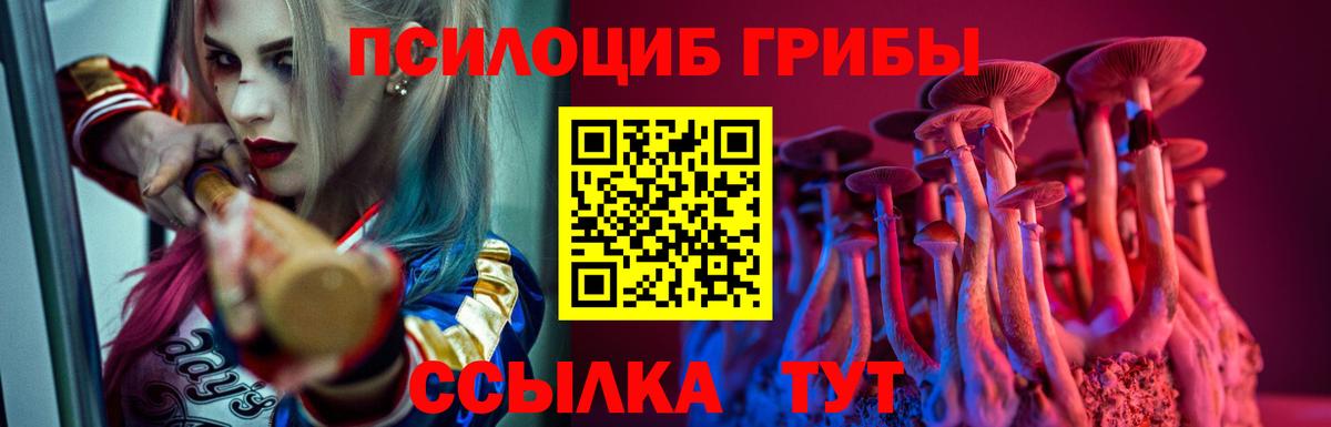 Галлюциногенные грибы Psilocybe  Вход с VPN  Псилоцибиновые грибы GOLDEN TEACHER  Зима 
