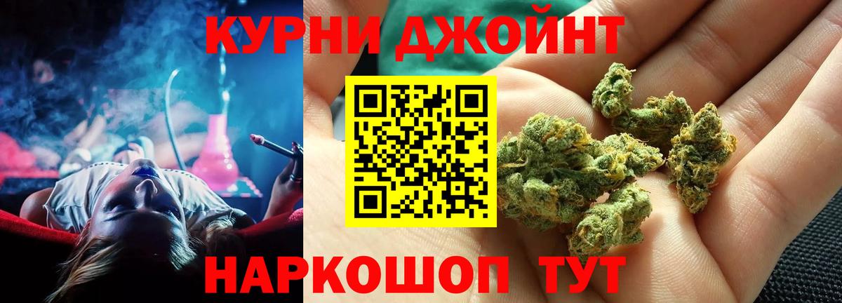 Бошки Шишки сатива  Канабис планчик  Конопля план  Зима  Вход с VPN  Каннабис конопля 
